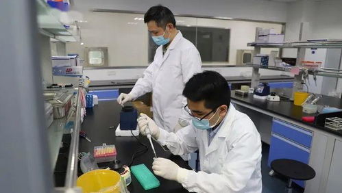 科技抗疫新突破 滬企融合通信技術，核酸檢測時間大幅縮短至1小時